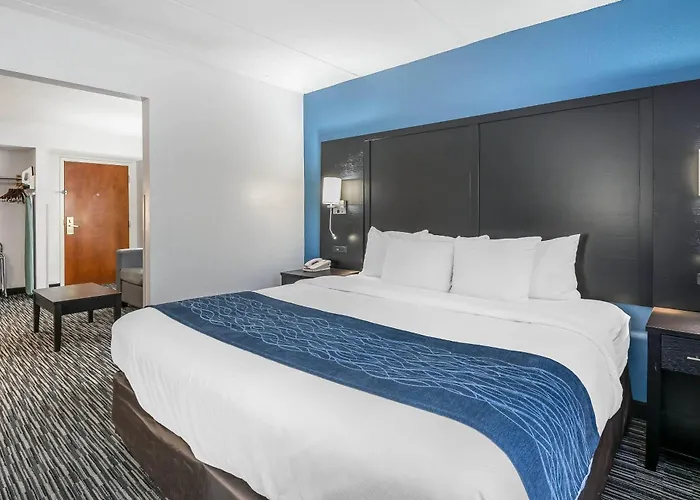 Comfort Inn Gainesville - University Area